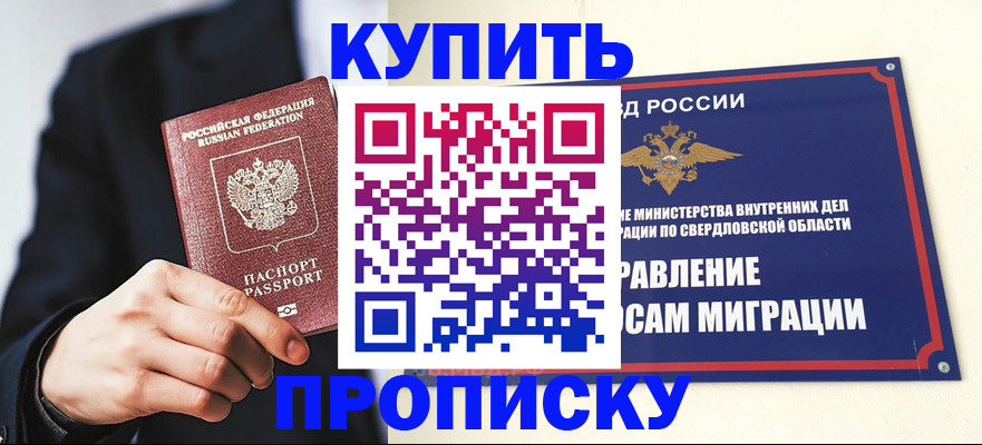 прописка для школы в Елизово